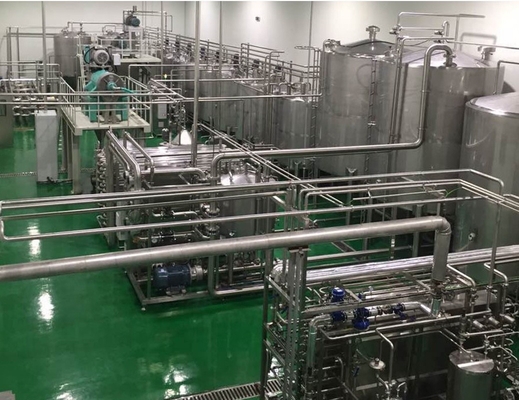 자동급 자동 6000b/h 아나나스 주스 제조 공장 8500 KG 용량