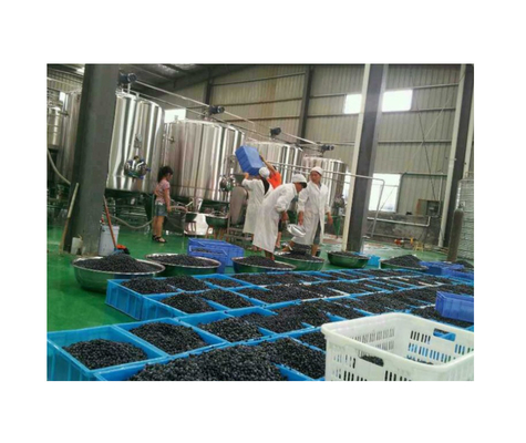 충전 정확성 100% 음료 기계 플라스틱/SUS304 벨트 재료 생산 라인
