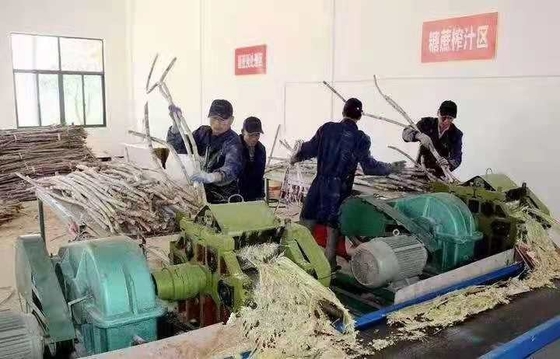 설탕 정제 공장에 대한 완전 자동 100-1000kg/h 사탕수수 생산 라인